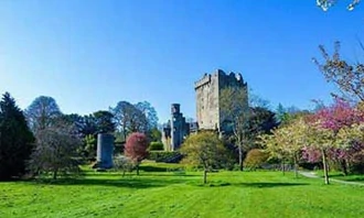 Why Kiss Blarney Stone – Legacy of Sweet Flattery from History