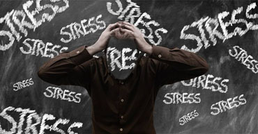 Stress Vaccine - Is the Universal Solution Finally Here?