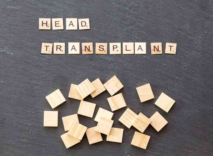 Head Transplant: Journey From  Popular Folklore To Science Fact