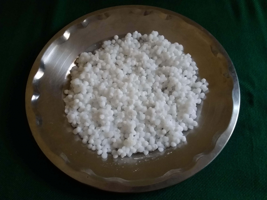 Softened Sabudana (after soaking in water) used in Recipe for Sabudana Vada.
