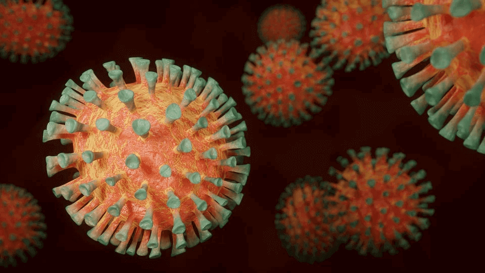 Saint Corona achieved worldwide recognition during Coronavirus epidemic of 2019 to 2020.