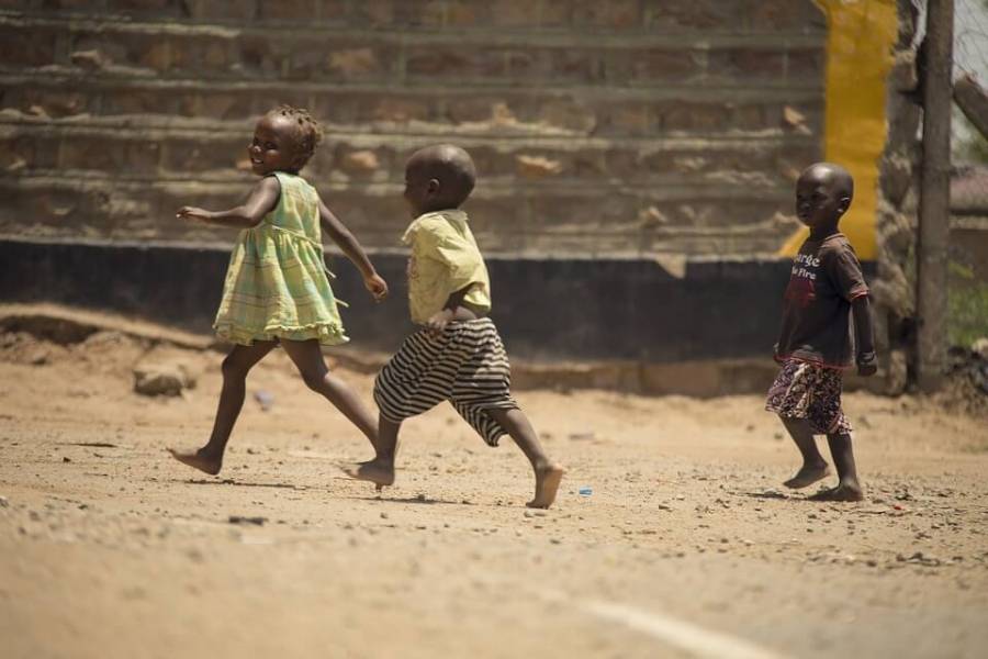 Children raised in a rural environment, grow up to have more stress-resilient immune systems and may be at lower risk of mental illness.