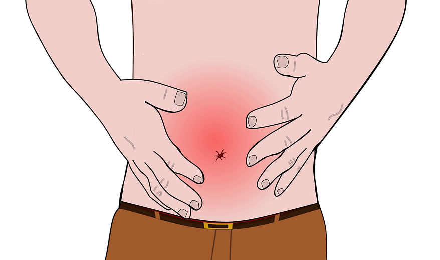 Enteric nervous system is closely associated with many functional bowel disorders.