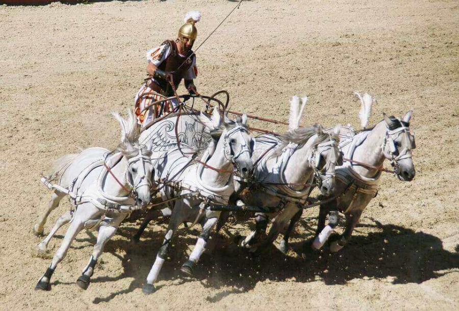 The victory in the chariot races made Gaius Appuleius Diocles very rich.