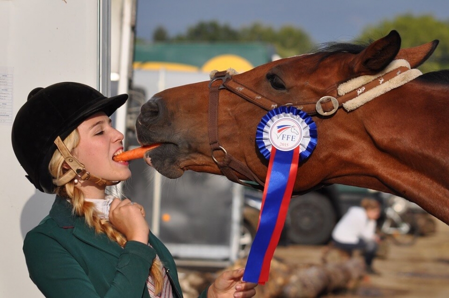 Carrots reduces risk of cancer & heart disease, and improves eye health.