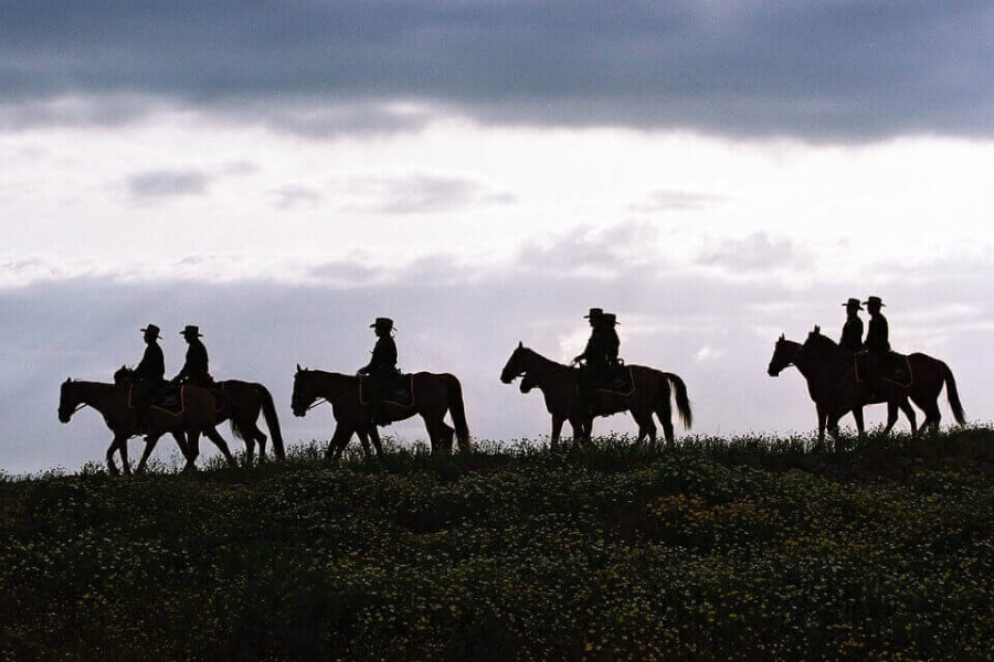 A search team set out to find the missing doctor.