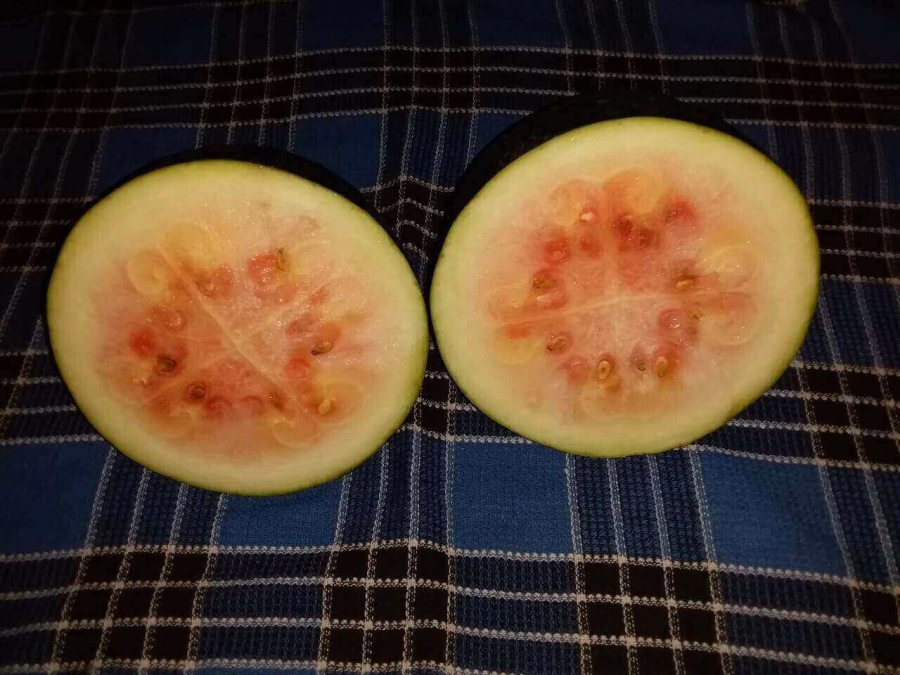 A watermelon unsuitable for watermelon juice recipes preparation - showed only for comparison
