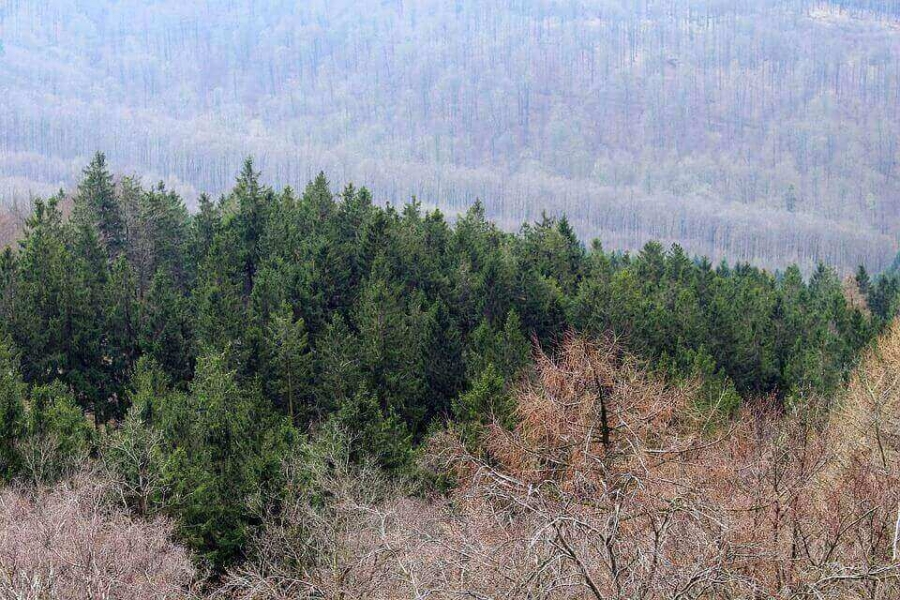 A view of the Teutoburg Forest.