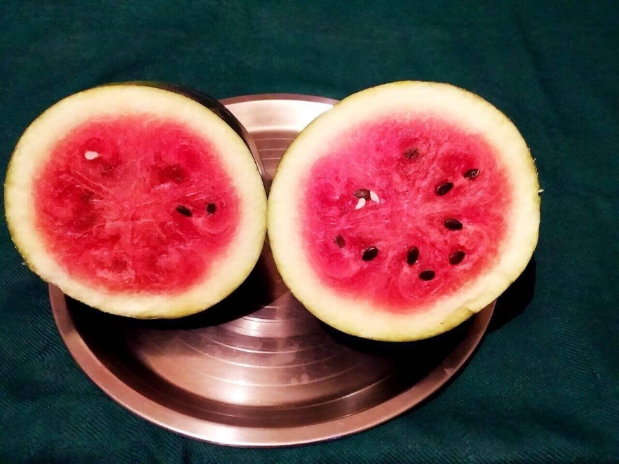 Watermelon after being cut transversely as described in Watermelon Juice Recipe preparation.