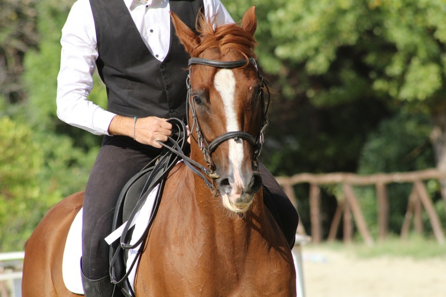 Horseback riding is available for inmates