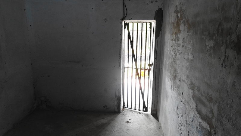 The interior of a cell