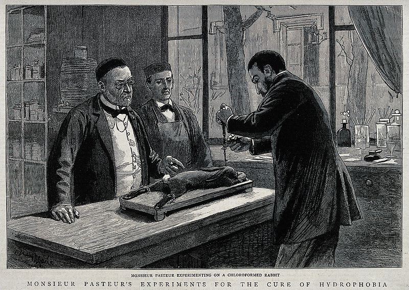 Louis Pasteur injecting rabies virus into a rabbit's brain