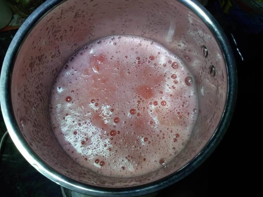 Watermelon juice produced in  mixer as described in Recipe of Watermelon Juice preparation.