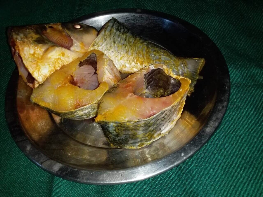 Marinating the fish as described in Fish Kalia Recipe Bengali Style.