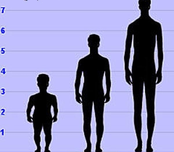 Height (in feets) of Adam Rainer, at 21 years, adulthood & 51 years. (Change  from dwarfism to acromegaly).