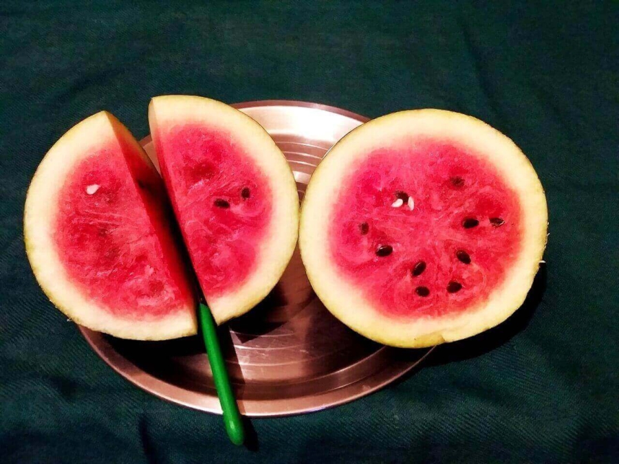 In next step, the cut piece is again cut longitudinally as described in Watermelon Juice Recipe preparation.